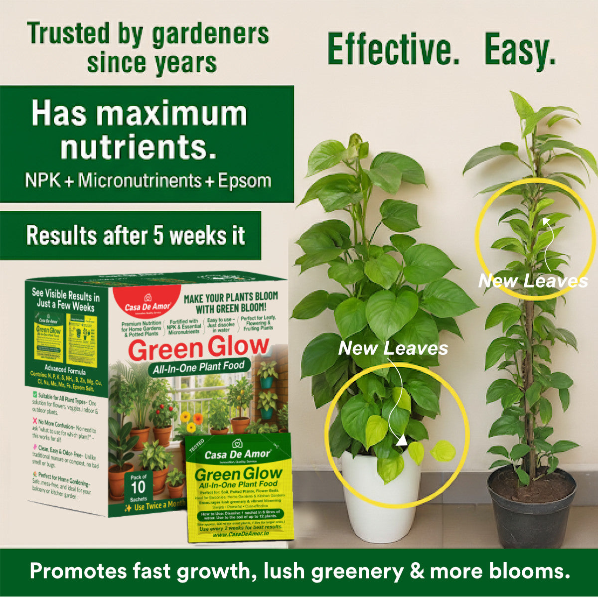 Casa De Amor Green Glow All‑In‑One Plant Food – 200g | 10 Sachets | Complete NPK + Micronutrients for Fast Growth & Greener Leaves