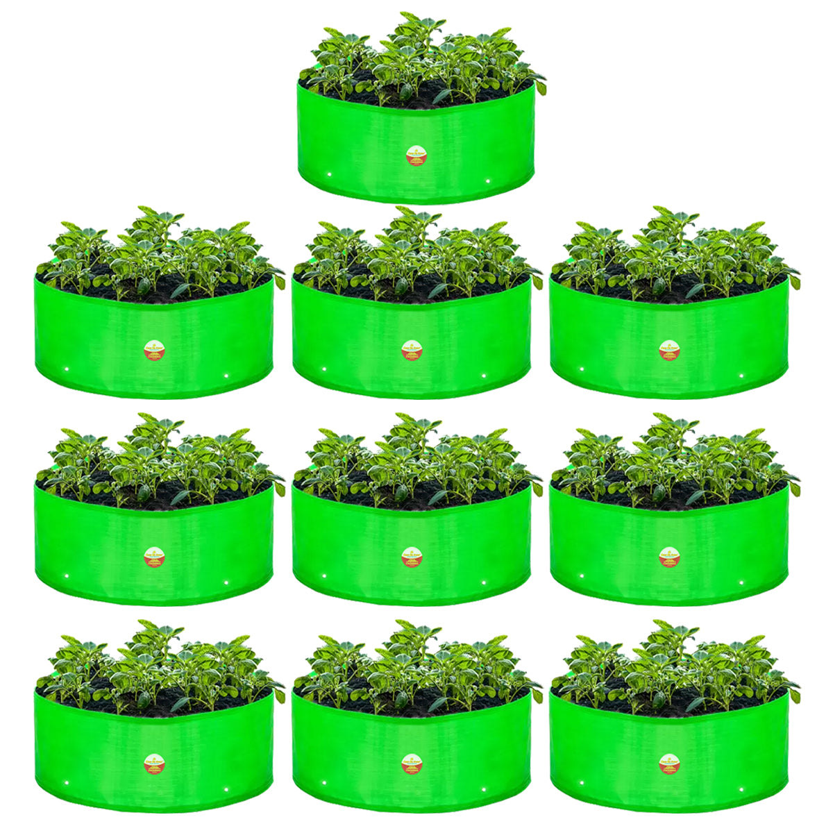 Casa De Amor 12X6 Inch HDPE Green Grow Bags UV Protected Round Suitable for Vegetable Terrace Gardening, 260 GSM