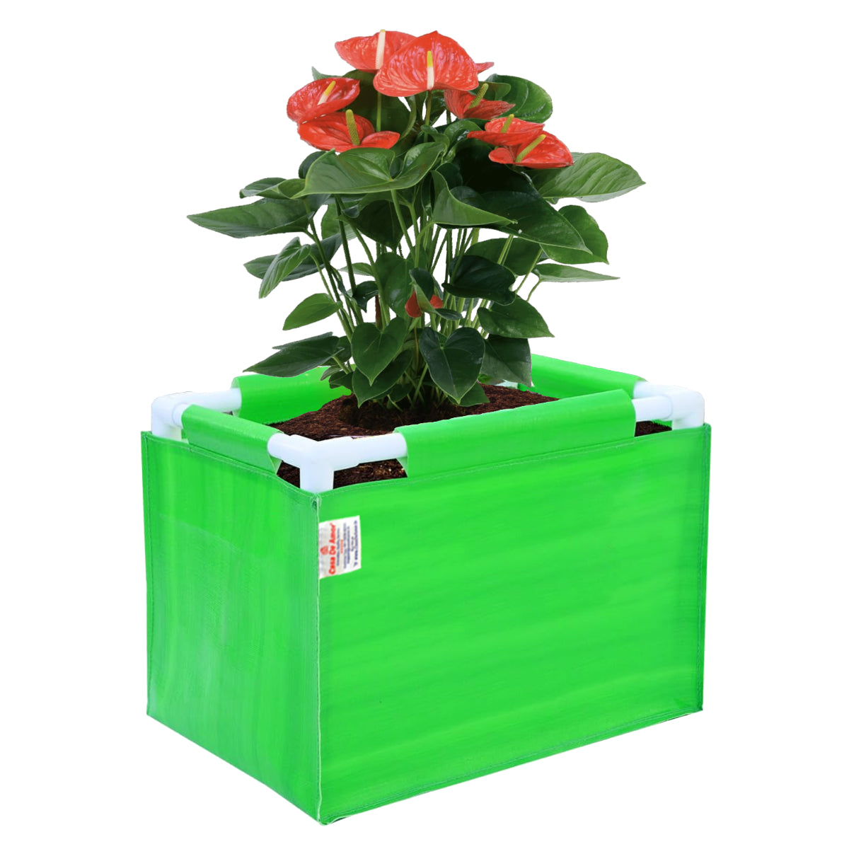 Casa De Amor 260 GSM HDPE Rectangular Grow Bag with PVC Pipe Support - 1.5x1x1 Feet, UV Protected, Green Color (Pack of 1)