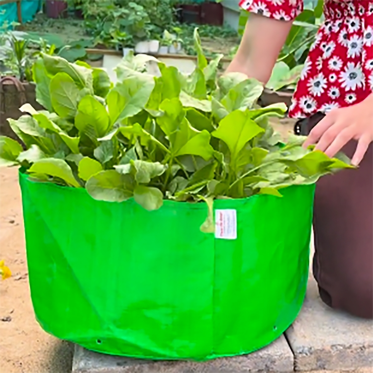Casa De Amor HDPE UV Protected 260 GSM Green Grow Bags Round Suitable for Vegetable Terrace Gardening (18x9 Inch)