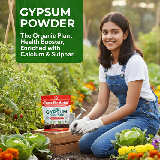 Casa De Amor Gypsum Powder for Plants | Natural Soil Conditioner & Soil Amendment for Lawn and Garden