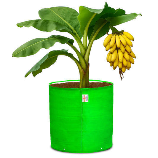 Casa De Amor 24X24 Inch HDPE Grow Bags for Large Plant Fruits / Flowers (260 GSM)