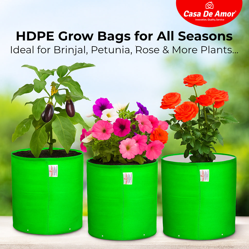 Casa De Amor HDPE Green Grow Bags 9x9 Inches | Terrace Gardening Vegetable, Flower and Herbs | 260 GSM