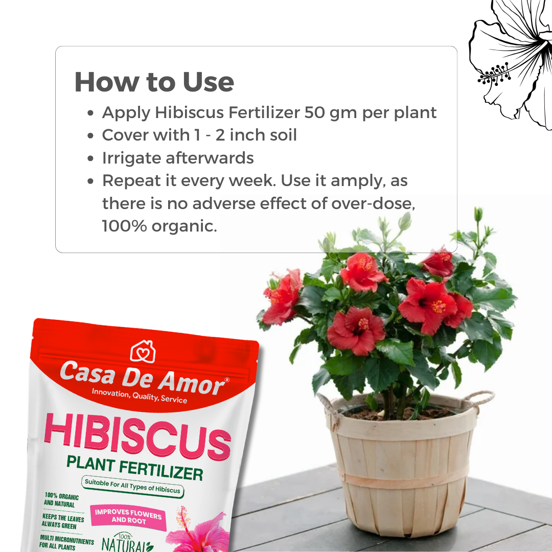 Casa De Amor Organic Hibiscus (Gudhal) Plant Fertilizer for Flowering, Bright Leaves, Healthy Stems and Strong Roots