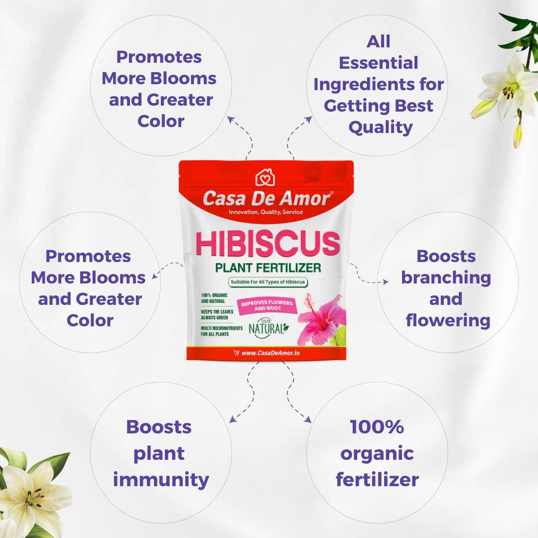 Casa De Amor Organic Hibiscus (Gudhal) Plant Fertilizer for Flowering, Bright Leaves, Healthy Stems and Strong Roots