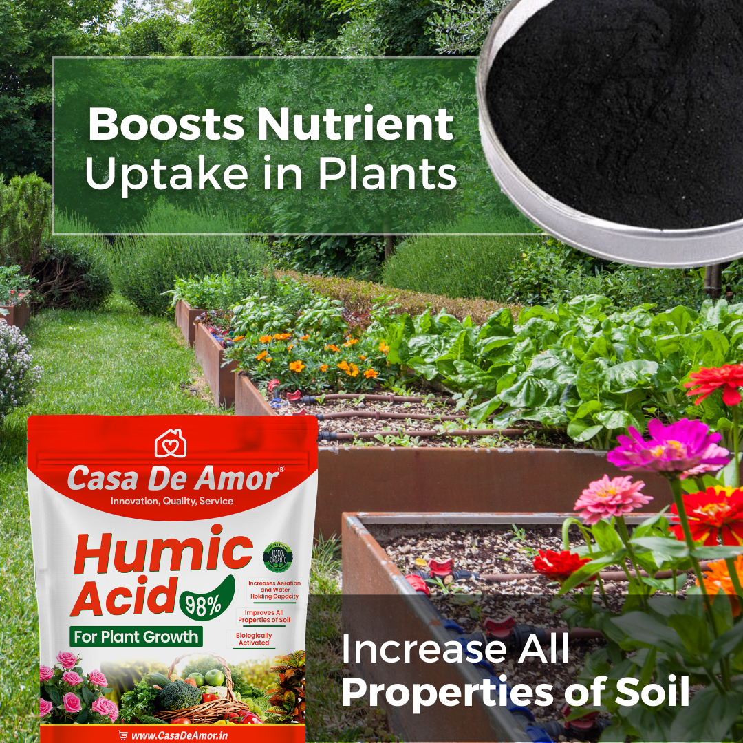 Casa De Amor Organic Humic Acid 98 (Water Soluble) for Plants, Natural Plant Growth Stimulator, Improves Plant Root System