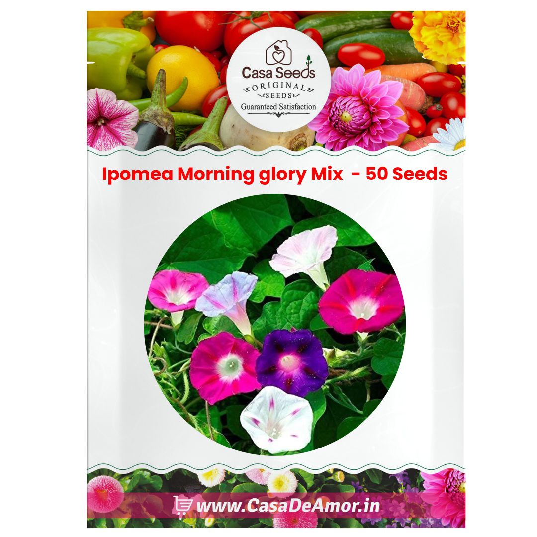 Ipomea Morning glory Mix - 50 Seeds
