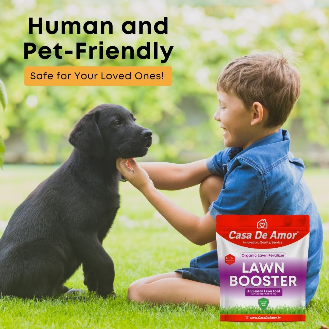 Casa De Amor Lawn Booster, 100% Organic Lawn Bio-Fertilizer, for Lush Green Lawn Grass