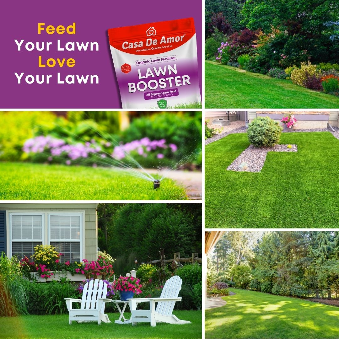 Casa De Amor Lawn Booster, 100% Organic Lawn Bio-Fertilizer, for Lush Green Lawn Grass