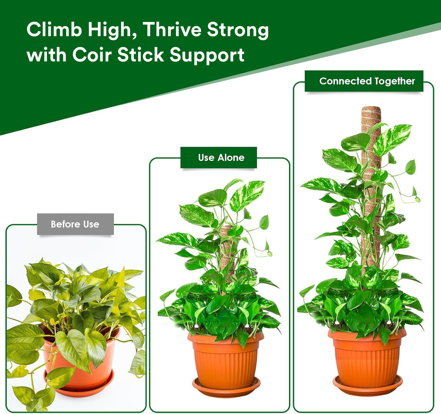 Casa De Amor Coir Stick/Coco Pole | Natural Support for Climbing Indoor & Outdoor Plants | Strong Pole for Creeper and Money Plant Growth