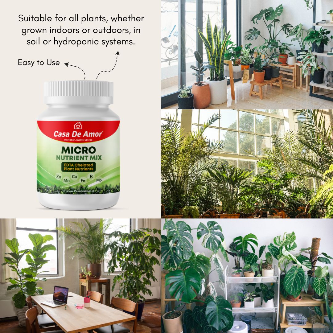 Casa De Amor Micro Nutrient Mix 150gm - Micronutrient Mix Plant Food for Plants- EDTA Chelated Formula - Zinc, Boron, Iron, Manganese and more - 100% Water Soluble