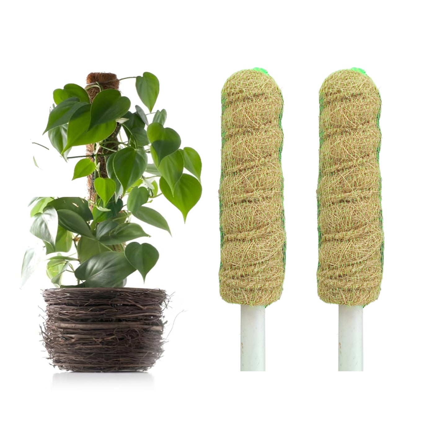 Casa De Amor Coir Stick/Coco Pole | Natural Support for Climbing Indoor & Outdoor Plants | Strong Pole for Creeper and Money Plant Growth