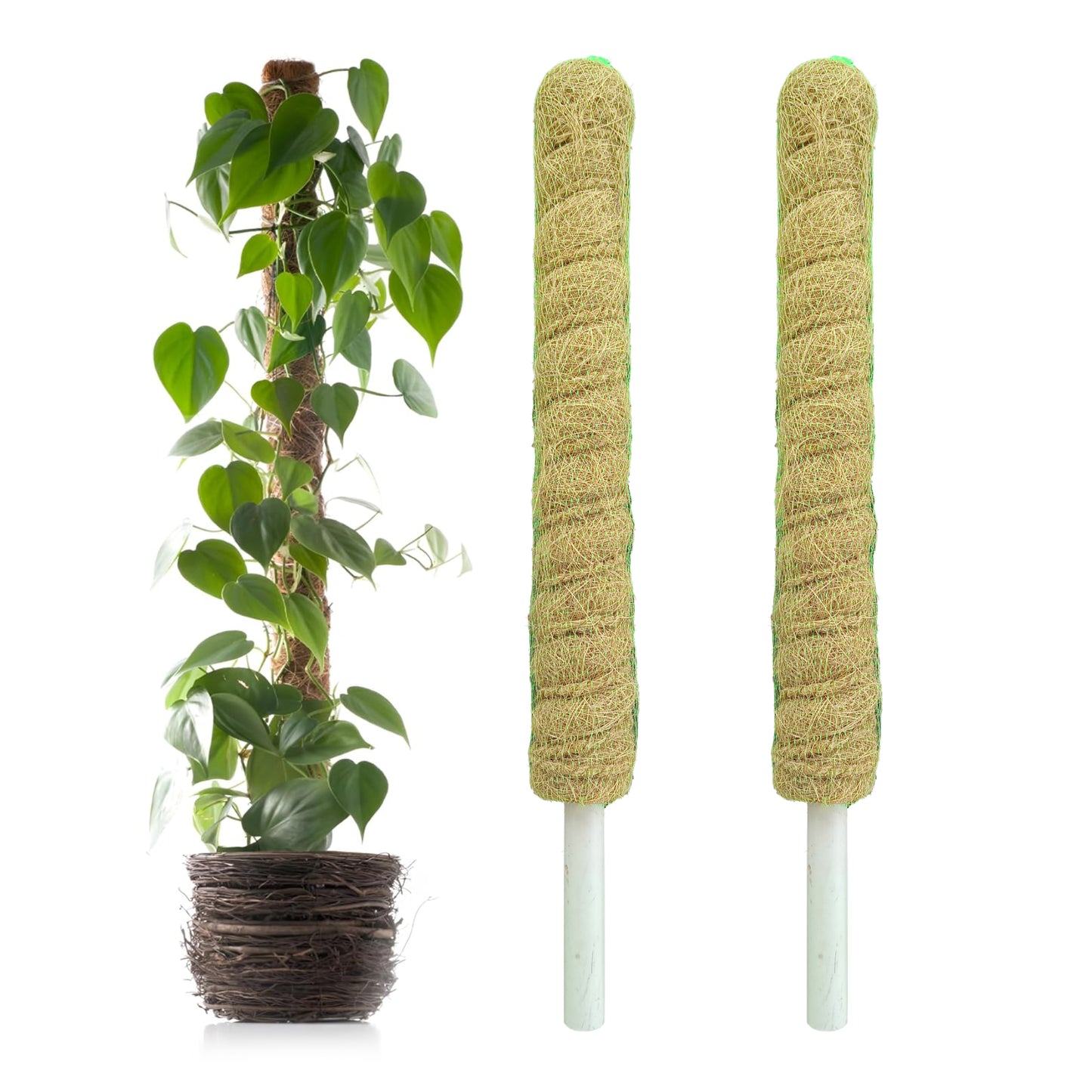 Casa De Amor Coir Stick/Coco Pole | Natural Support for Climbing Indoor & Outdoor Plants | Strong Pole for Creeper and Money Plant Growth