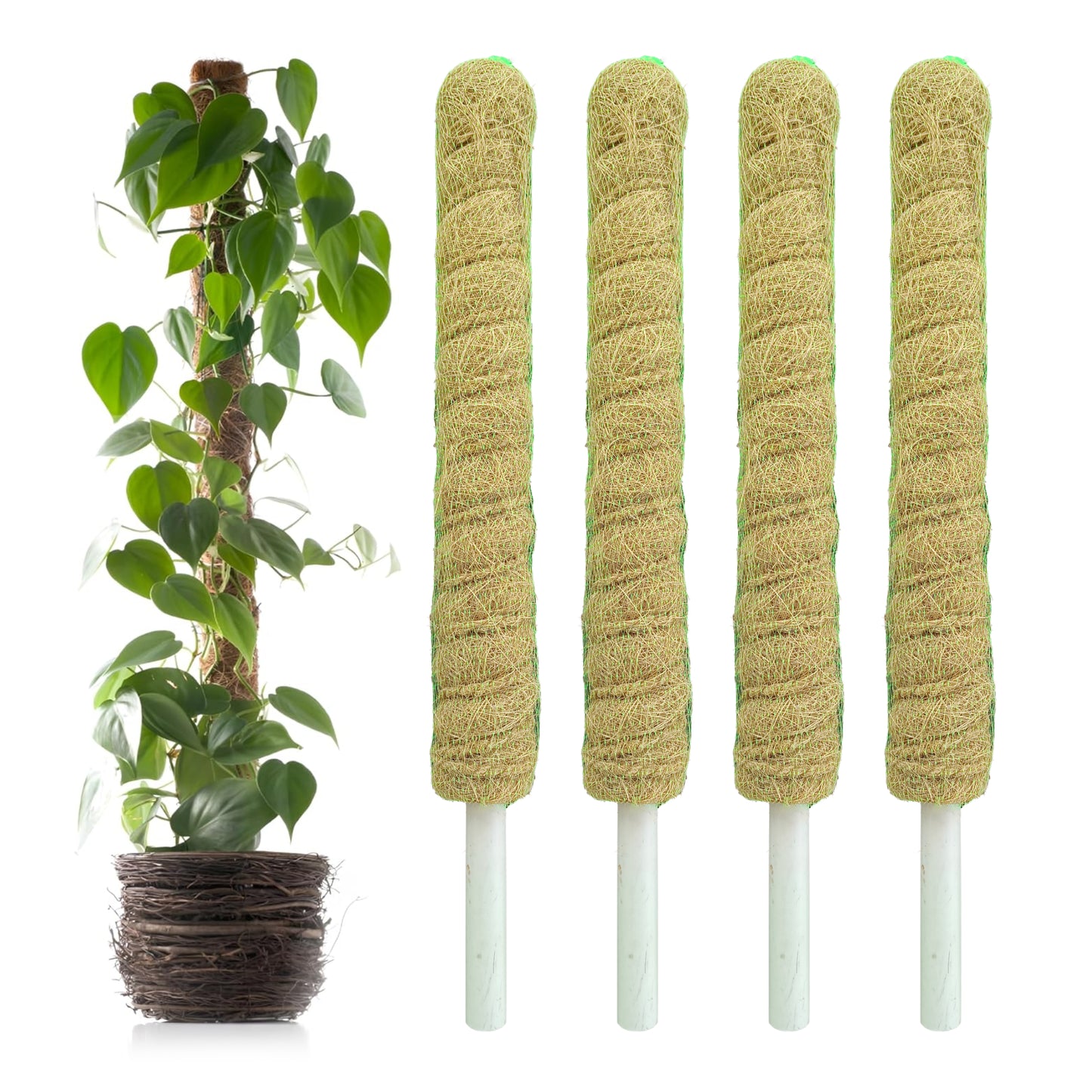 Casa De Amor Coir Stick/Coco Pole | Natural Support for Climbing Indoor & Outdoor Plants | Strong Pole for Creeper and Money Plant Growth