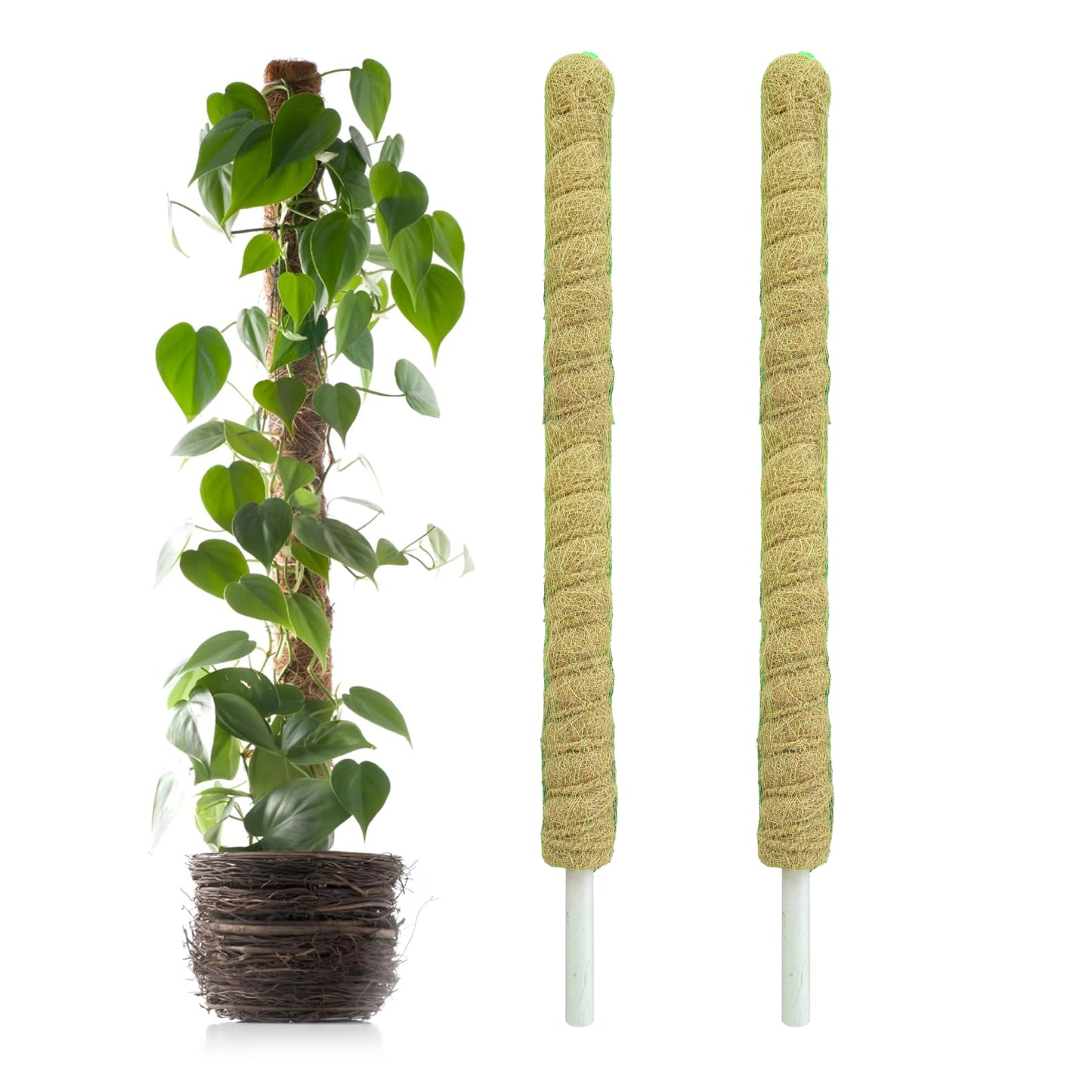 Casa De Amor Coir Stick/Coco Pole | Natural Support for Climbing Indoor & Outdoor Plants | Strong Pole for Creeper and Money Plant Growth