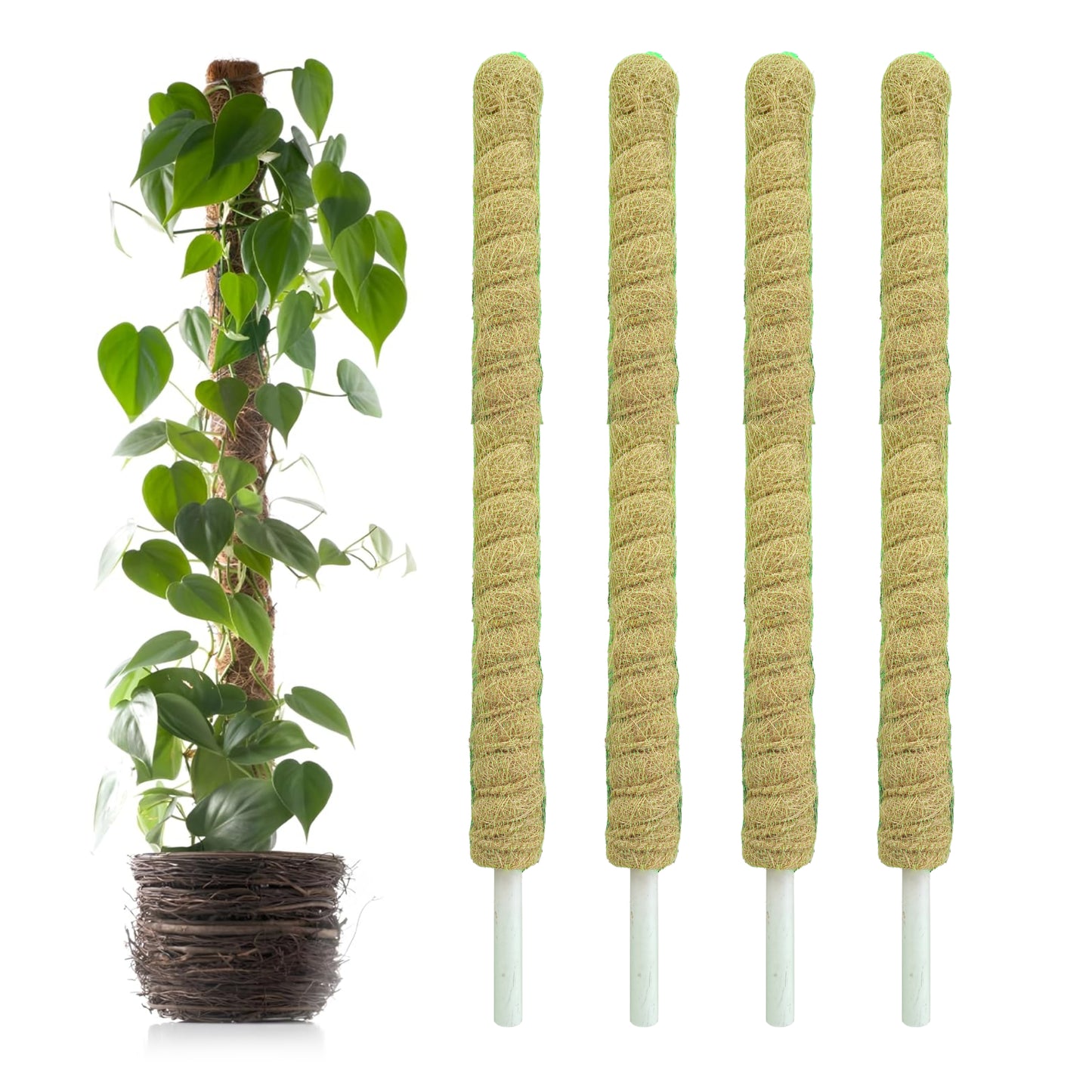 Casa De Amor Coir Stick/Coco Pole | Natural Support for Climbing Indoor & Outdoor Plants | Strong Pole for Creeper and Money Plant Growth