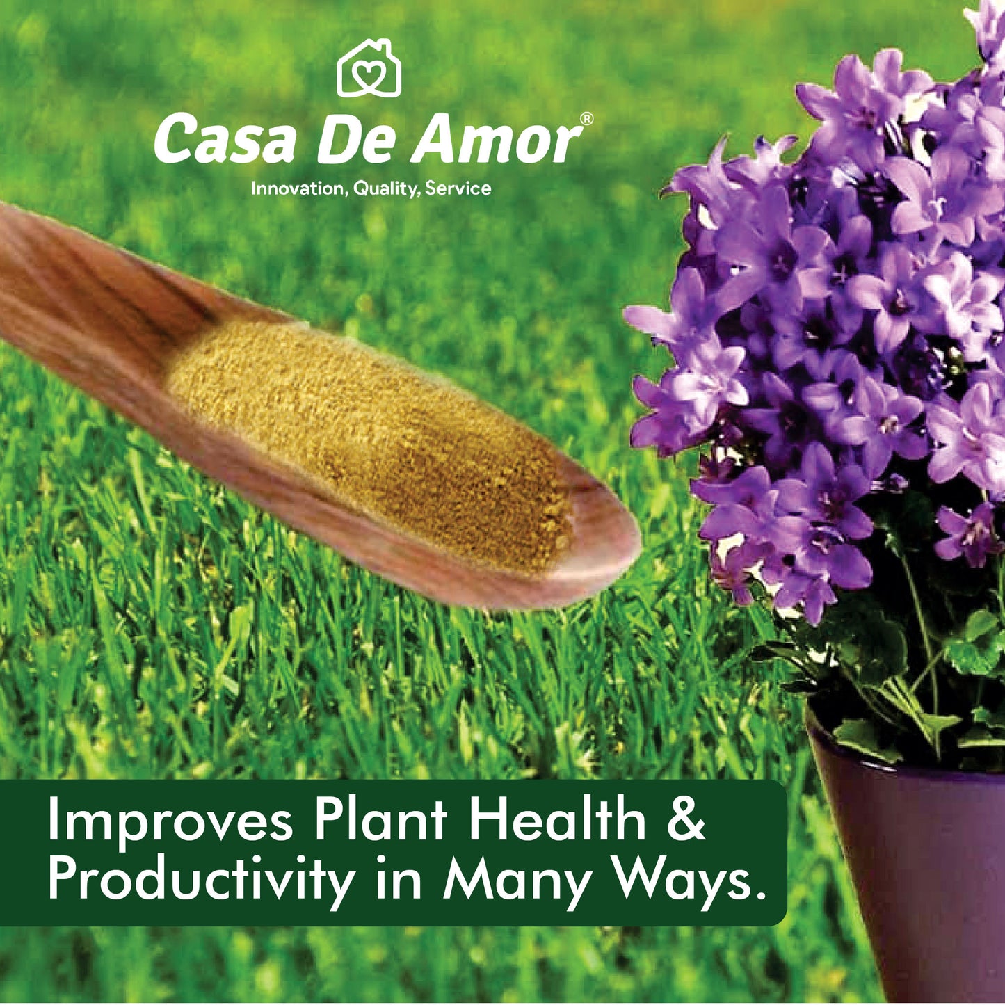 Mustard Oil Cake Powder Natural Safe Ecofriendly Fertilizer for Plant Growth and Healthy Roots