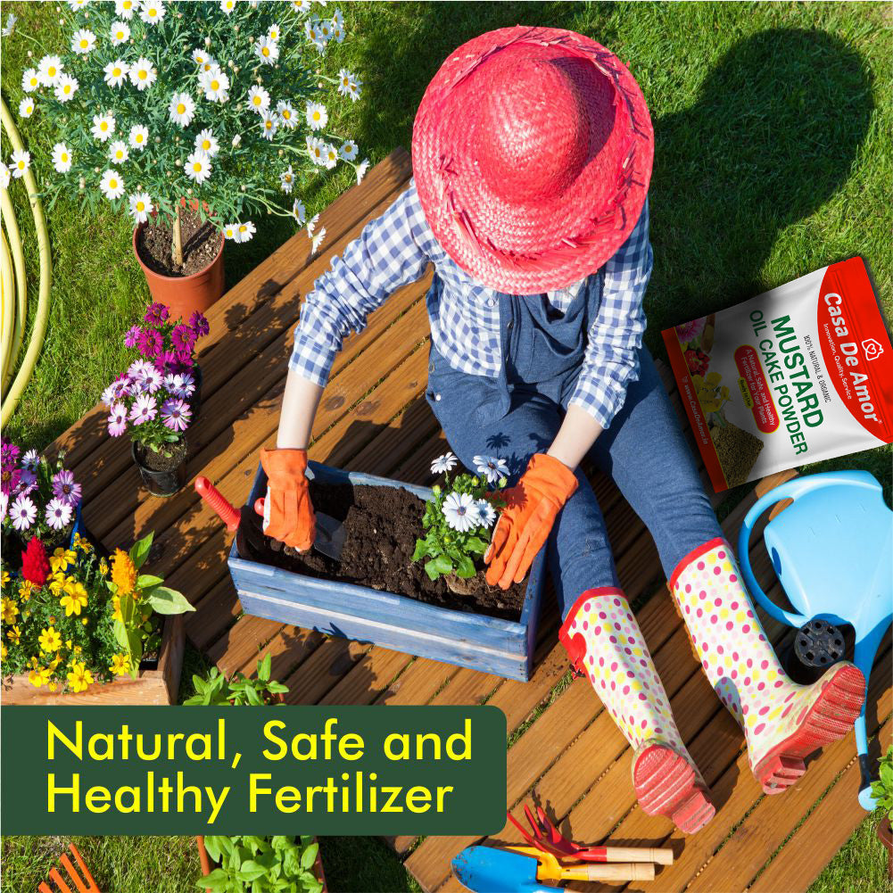 Mustard Oil Cake Powder Natural Safe Ecofriendly Fertilizer for Plant Growth and Healthy Roots