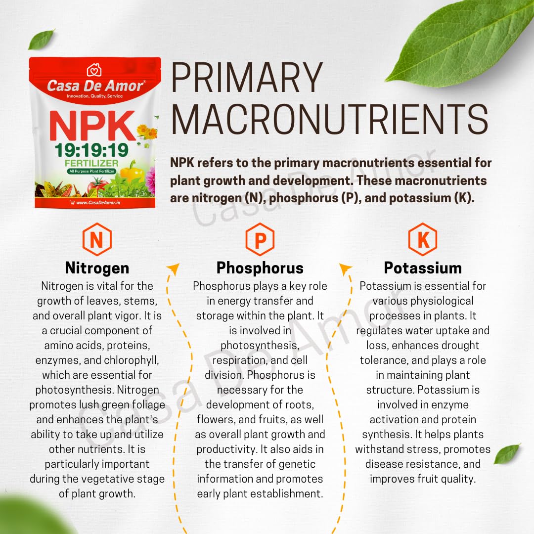 NPK 19 19 19 Fertilizer for Plants and Gardening All Purpose Plant Food