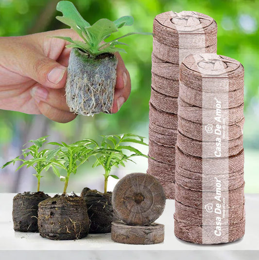 Casa De Amor Coco Disc | Coco Pellets | Coco Coin Coir | Seed Germination Kit | Peat Pellets for Gardening Seedling