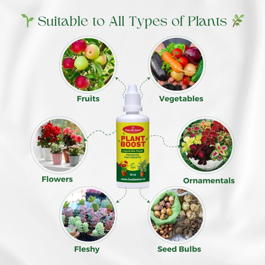 Casa De Amor Plant Boost Liquid Bio Food (3 x 50ml) | Organic Growth Booster for Faster, Healthier Plants | Ideal for Vegetables, Flowers, Herbs & Indoor Plants