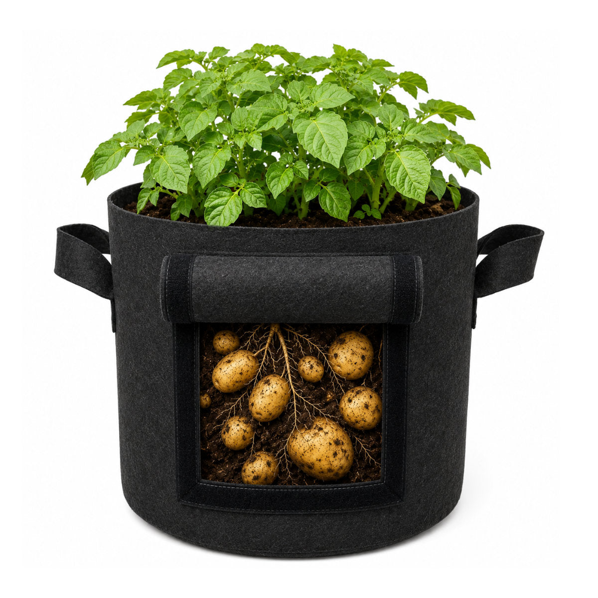 Casa De Amor 400 GSM Geo Fabric Potato Grow Bag with Harvest Window – 15x12 Inch