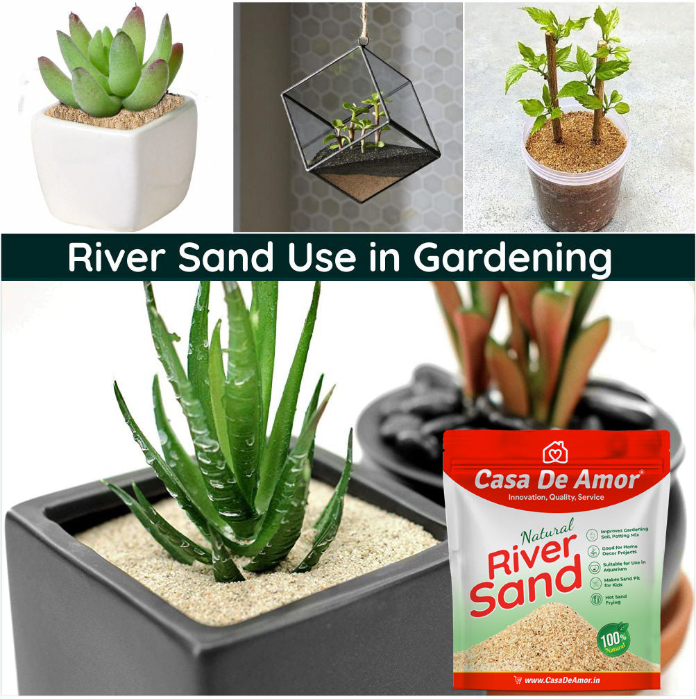 Casa De Amor Natural River Sand | Aquarium Sand Substrate | Pure Organic Plants Soil Mix Additive Adenium Cactus Succulent Bonsai | Use in Havan Pujan