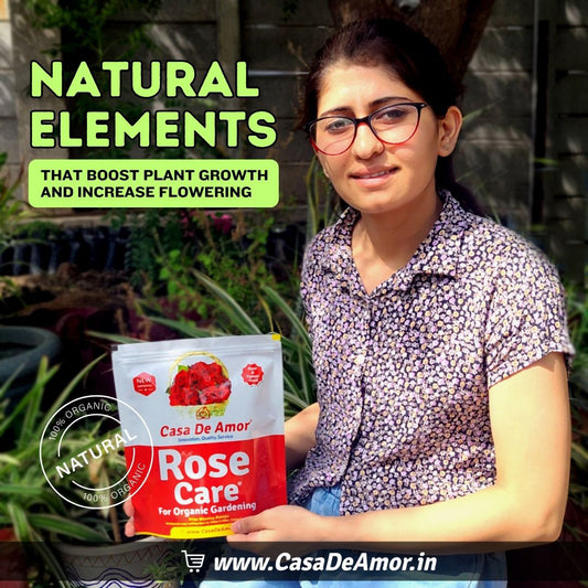 Casa De Amor Rose Care Fertilizer – 100% Organic Bloom & Root Booster for Rose Plants, NPK-Rich, Promotes Vibrant Flowers & Strong Stems