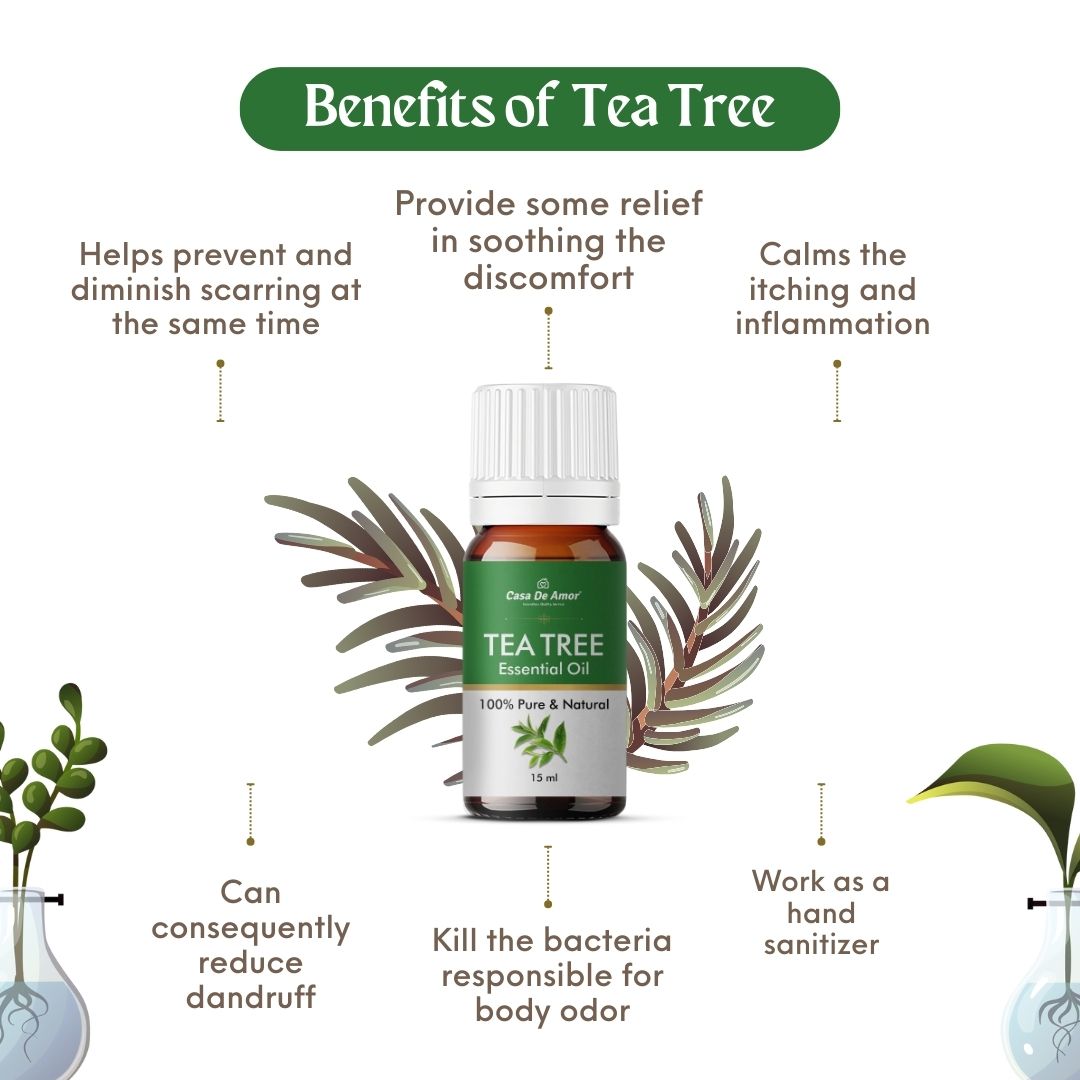 Casa De Amor Tea Tree Oil | For Skin, Hair, Face | Reduces Acne, Promotes Blemish Free Skin, Improves Hair Growth | 15ML