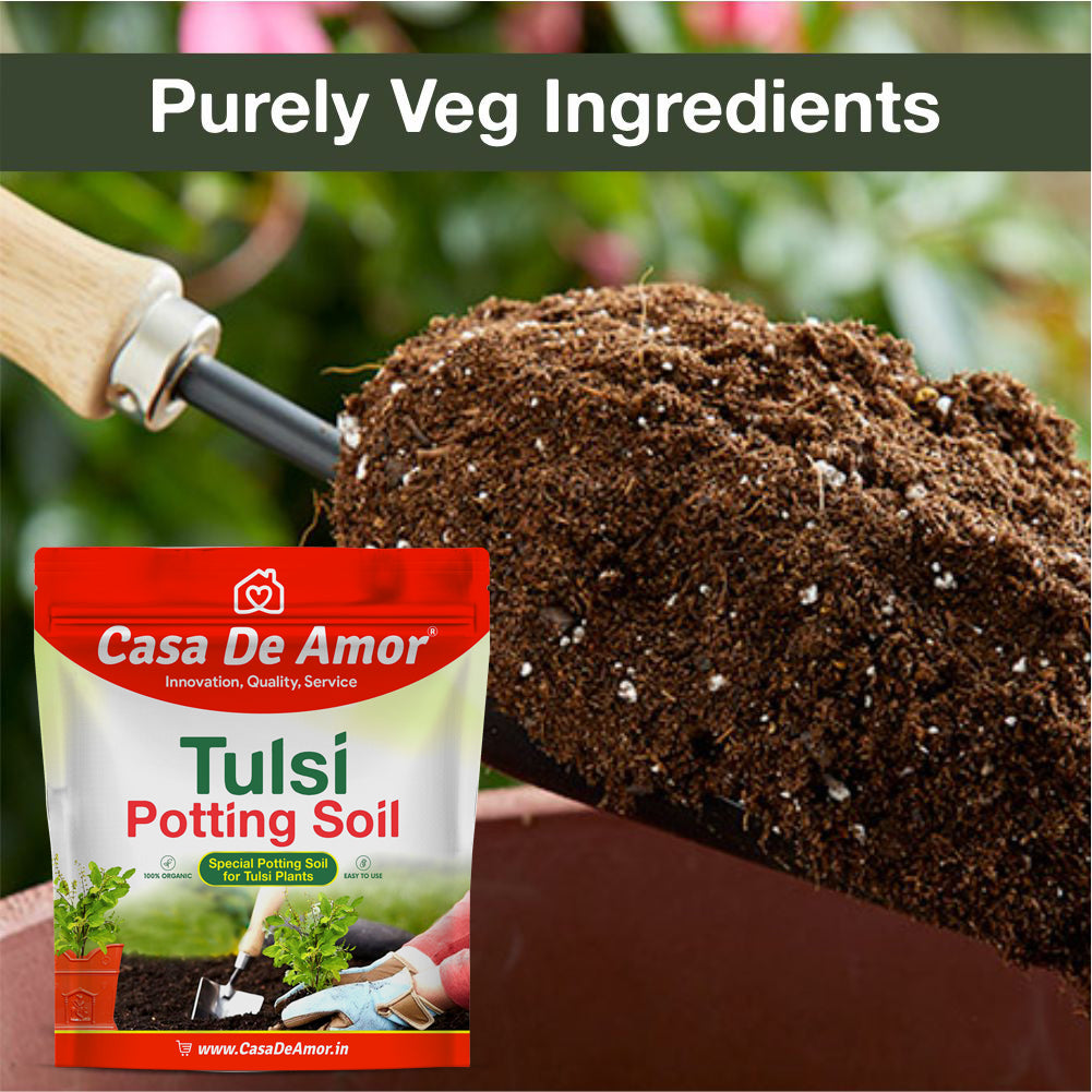 Casa De Amor Special Tulsi Plant Potting Soil