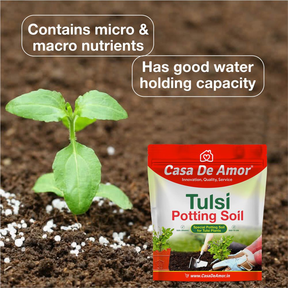 Casa De Amor Organic Tulsi Potting Soil 2 Kg + Tulsi Plant Fertilizer 900 gm- Combo Pack