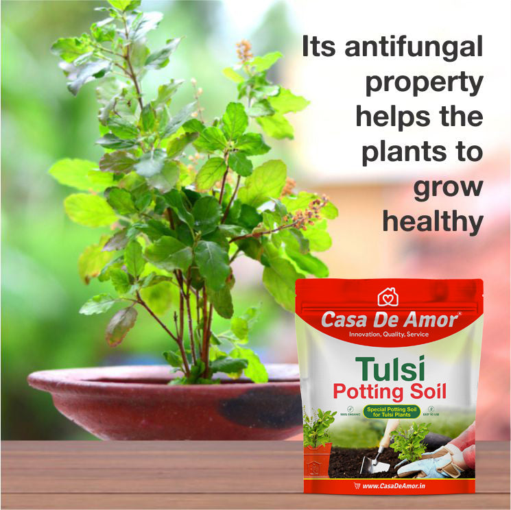 Casa De Amor Special Tulsi Plant Potting Soil