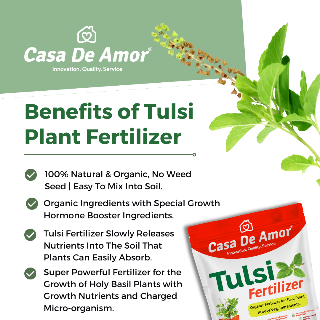 Organic Tulsi Fertilizer for tulsi plant in Balcony, Terrace & Home Gardening