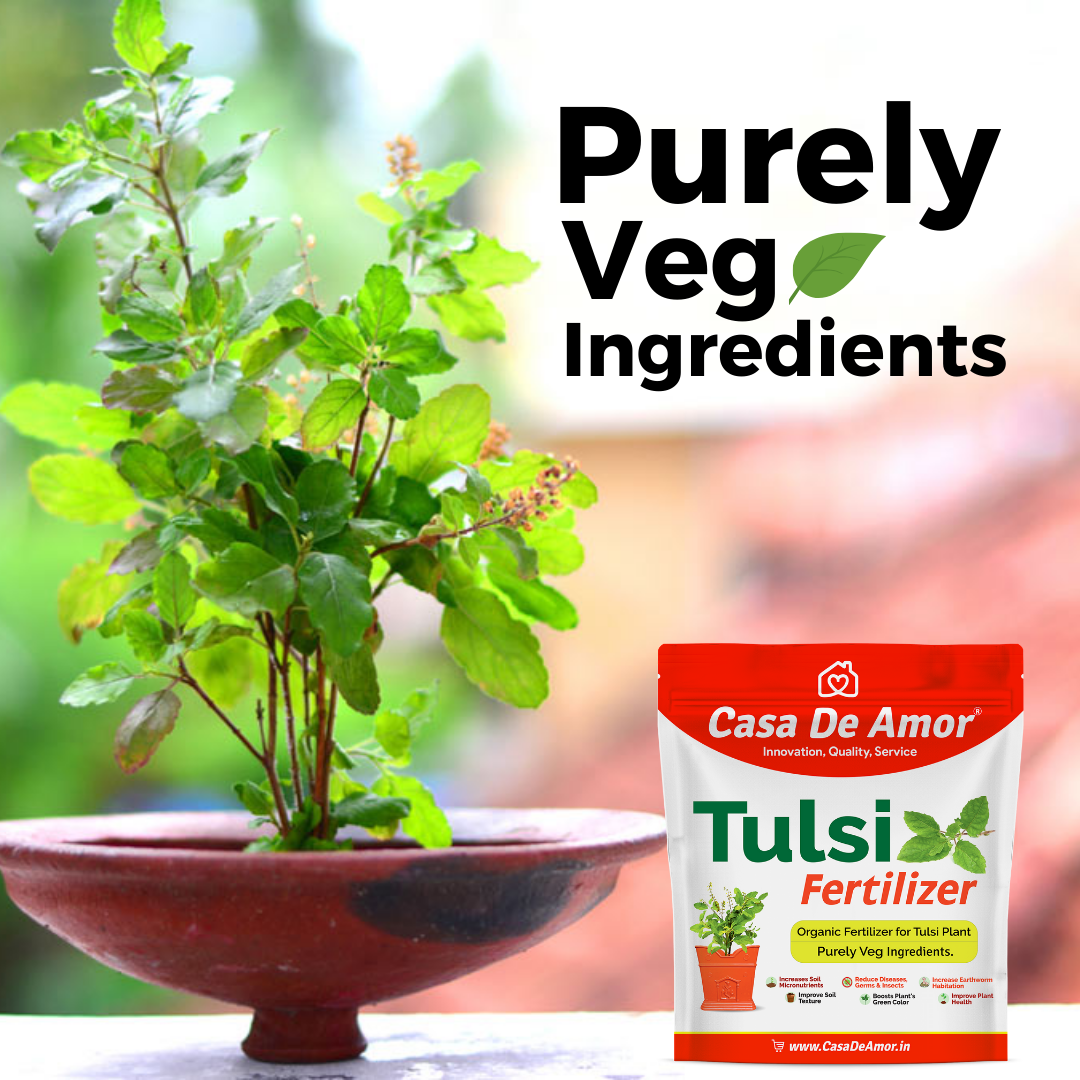 Organic Tulsi Fertilizer for tulsi plant in Balcony, Terrace & Home Gardening