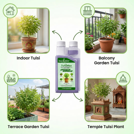 Casa De Amor TulsiMax Liquid Plant Nutrient 250ml | Pure Veg Formula for Tulsi Plants