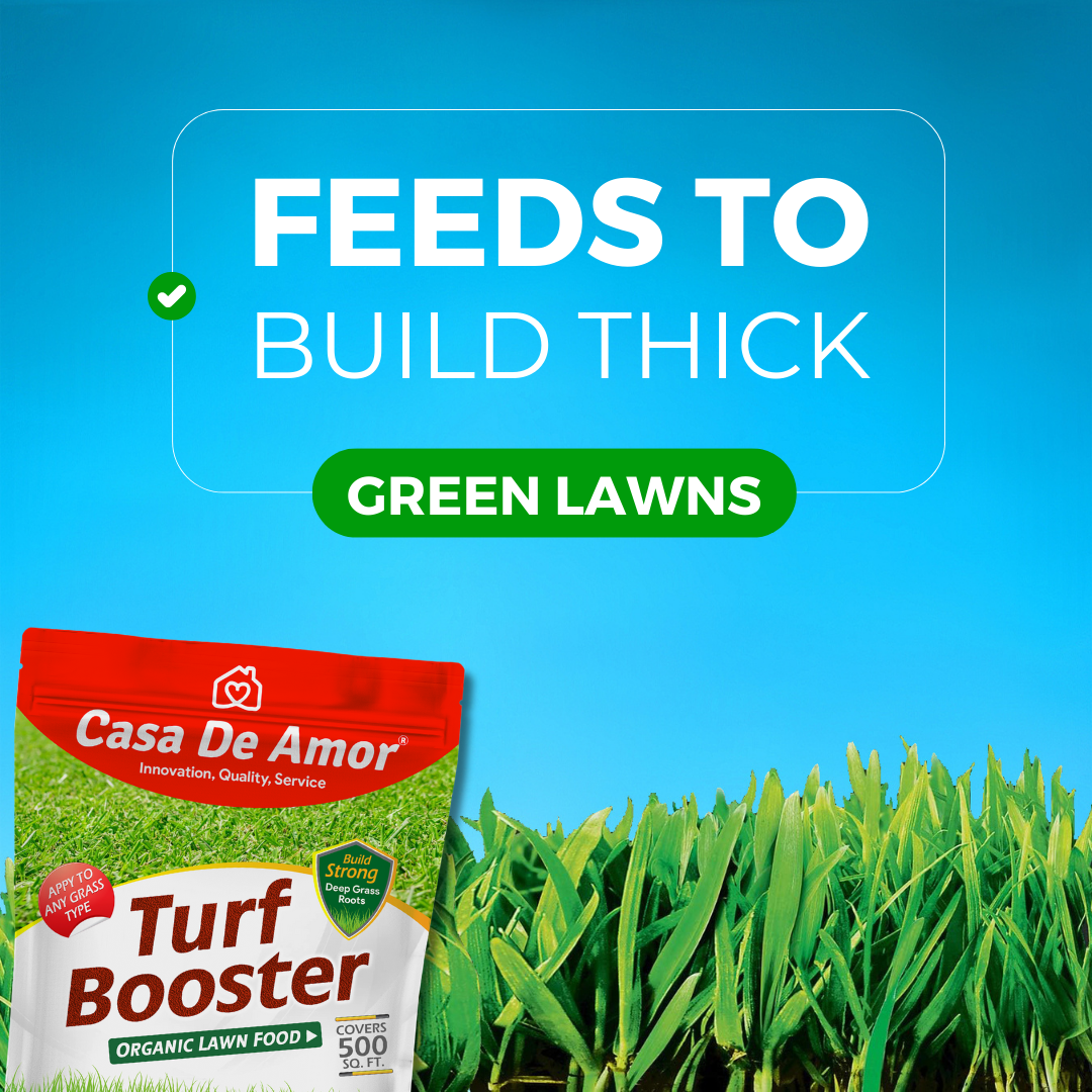 Casa De Amor Turf Booster Lawn Fertilizer Granules, Build Thick-Green Lawns (5 kg Bag Covers 500 sq. ft.)
