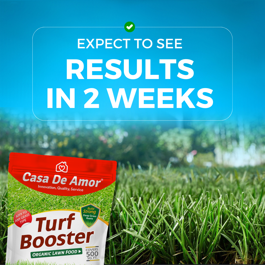 Casa De Amor Turf Booster Lawn Fertilizer Granules, Build Thick-Green Lawns (5 kg Bag Covers 500 sq. ft.)