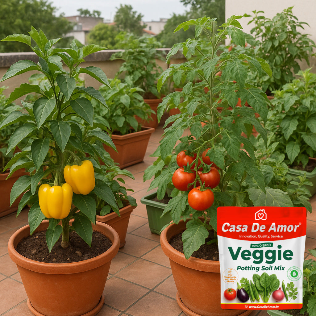 Veggie Potting Soil, Organic, Grow vegetables and herbs in Kitchen Garden, Terrace Garden