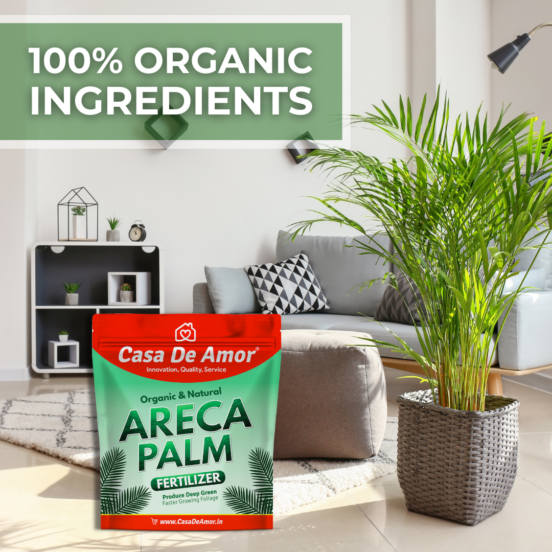 Casa De Amor Organic Areca Palm Plant Food Fertilizer (900 gm)