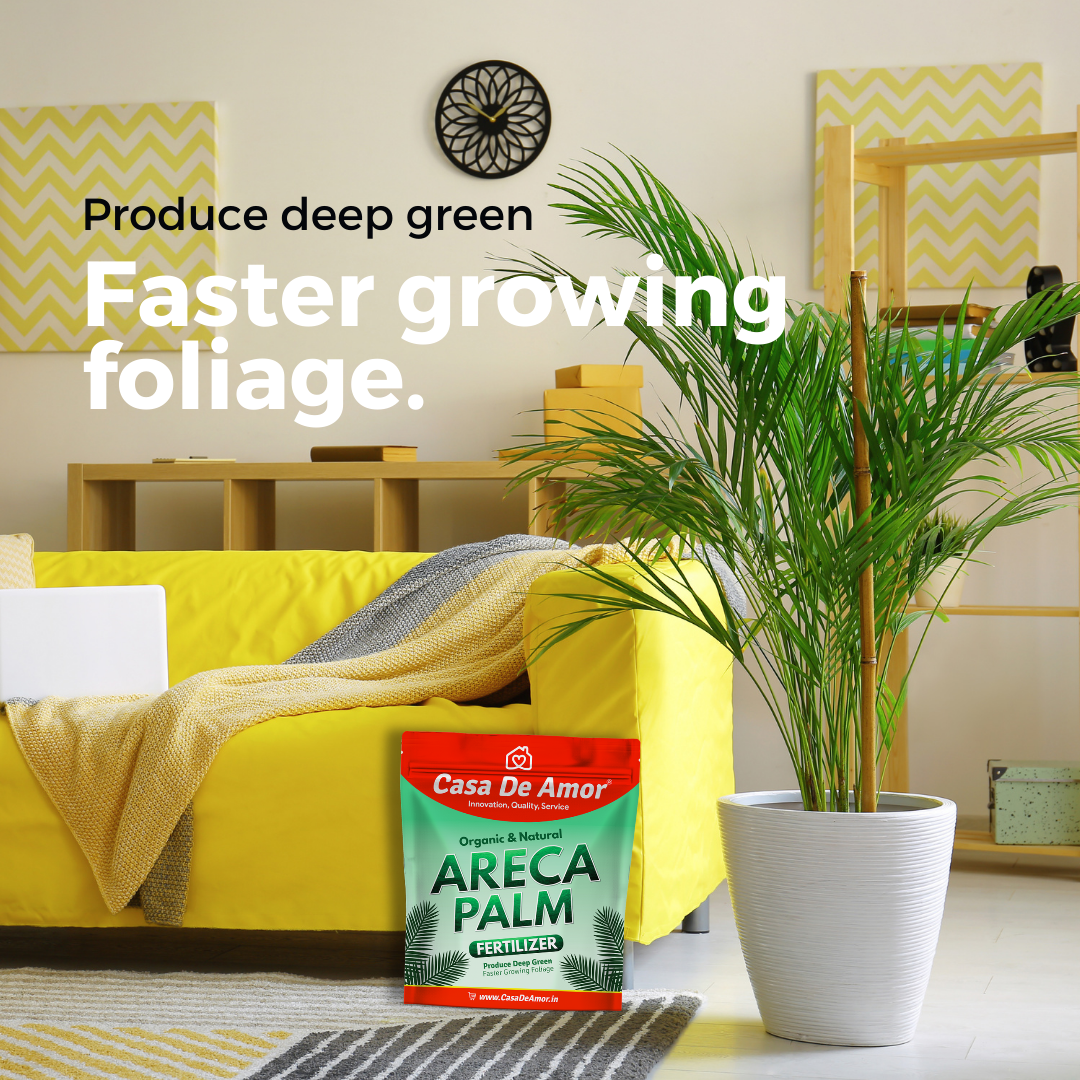 Casa De Amor Organic Areca Palm Plant Food Fertilizer (900 gm)