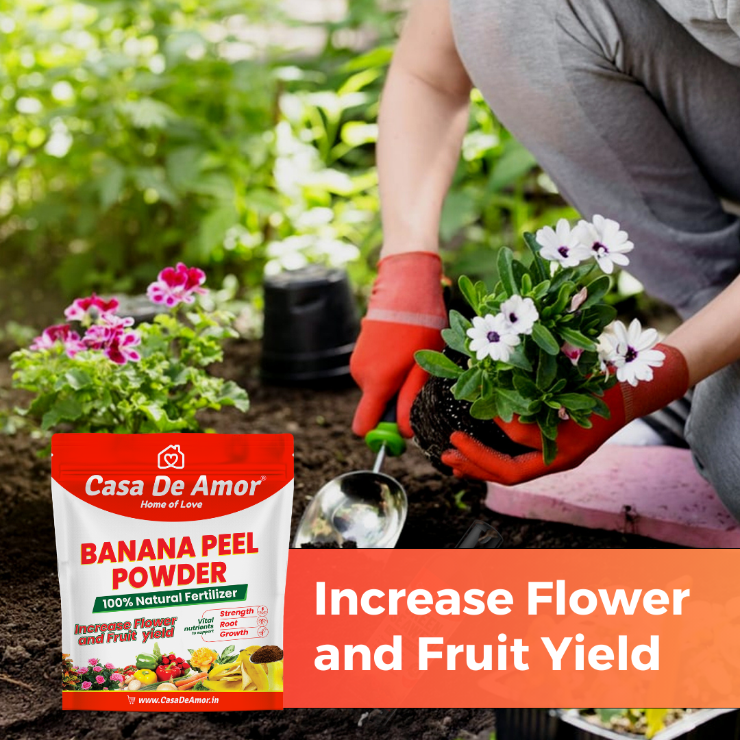 Casa De Amor Banana Peel Powder Fertilizer for Plants, Natural Bloom Booster for Plants and Gardening