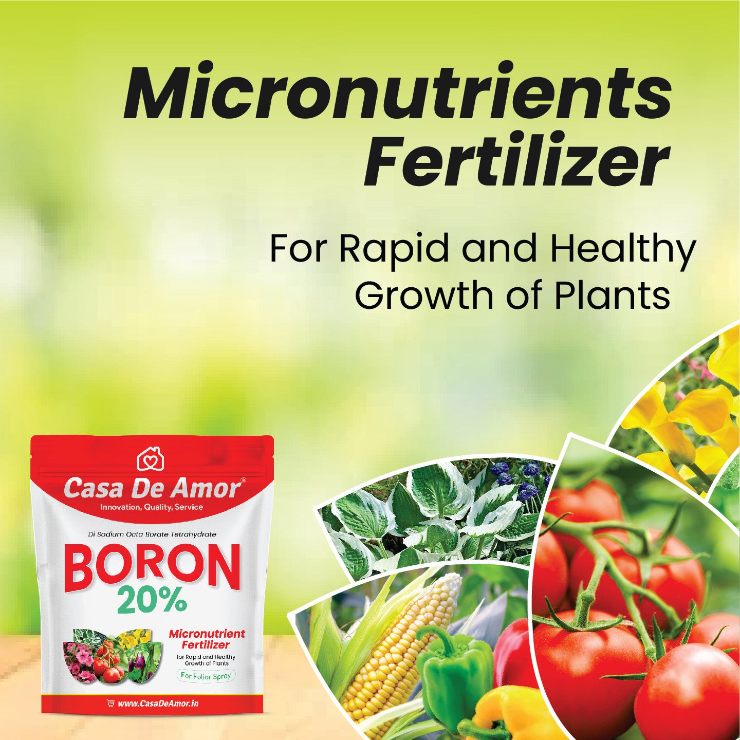 Casa De Amor Boron 20% Micronutrient Fertilizer for Healthy Growth of Vegetable Plants and Gardening