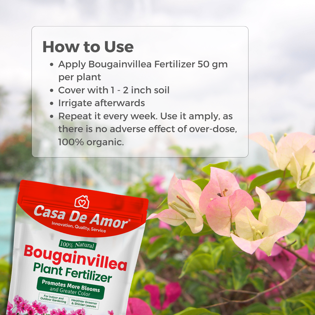 Casa De Amor Bougainvillea Plant Fertilizer, Promotes More Blooms and Greater Color