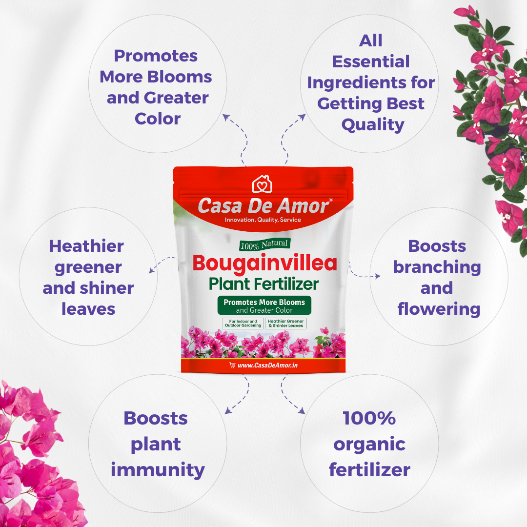 Casa De Amor Bougainvillea Plant Fertilizer, Promotes More Blooms and Greater Color