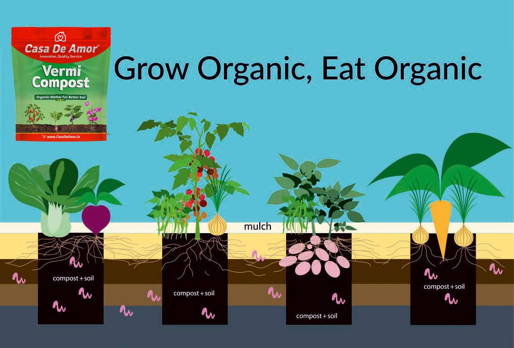 Casa De Amor Organic Vermicompost Fertilizer Manure for Plants