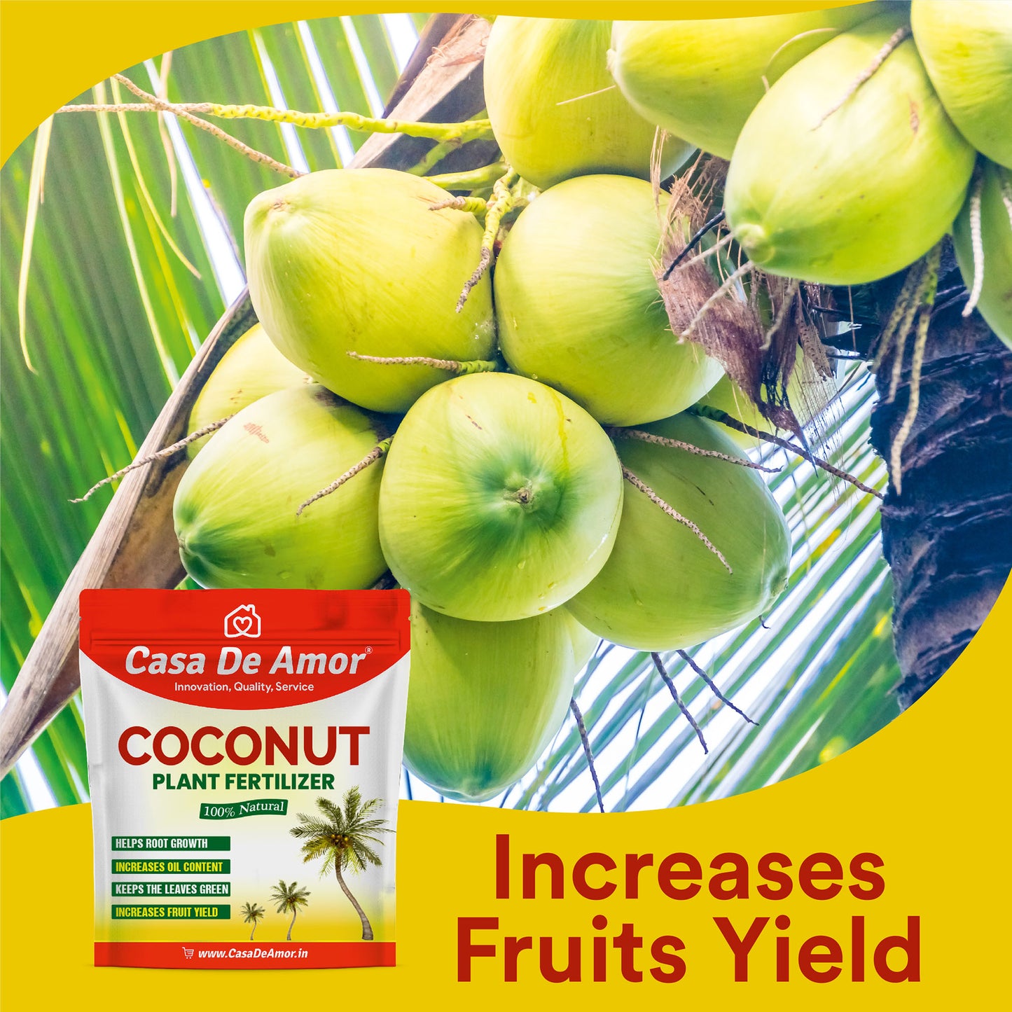 Coconut Plant Fertilizer, 100% Natural, Helps Root Growth and Yield