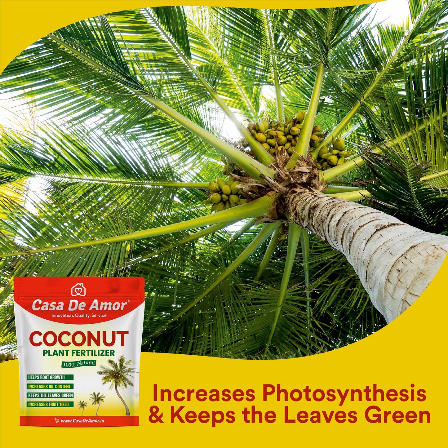 Coconut Plant Fertilizer, 100% Natural, Helps Root Growth and Yield