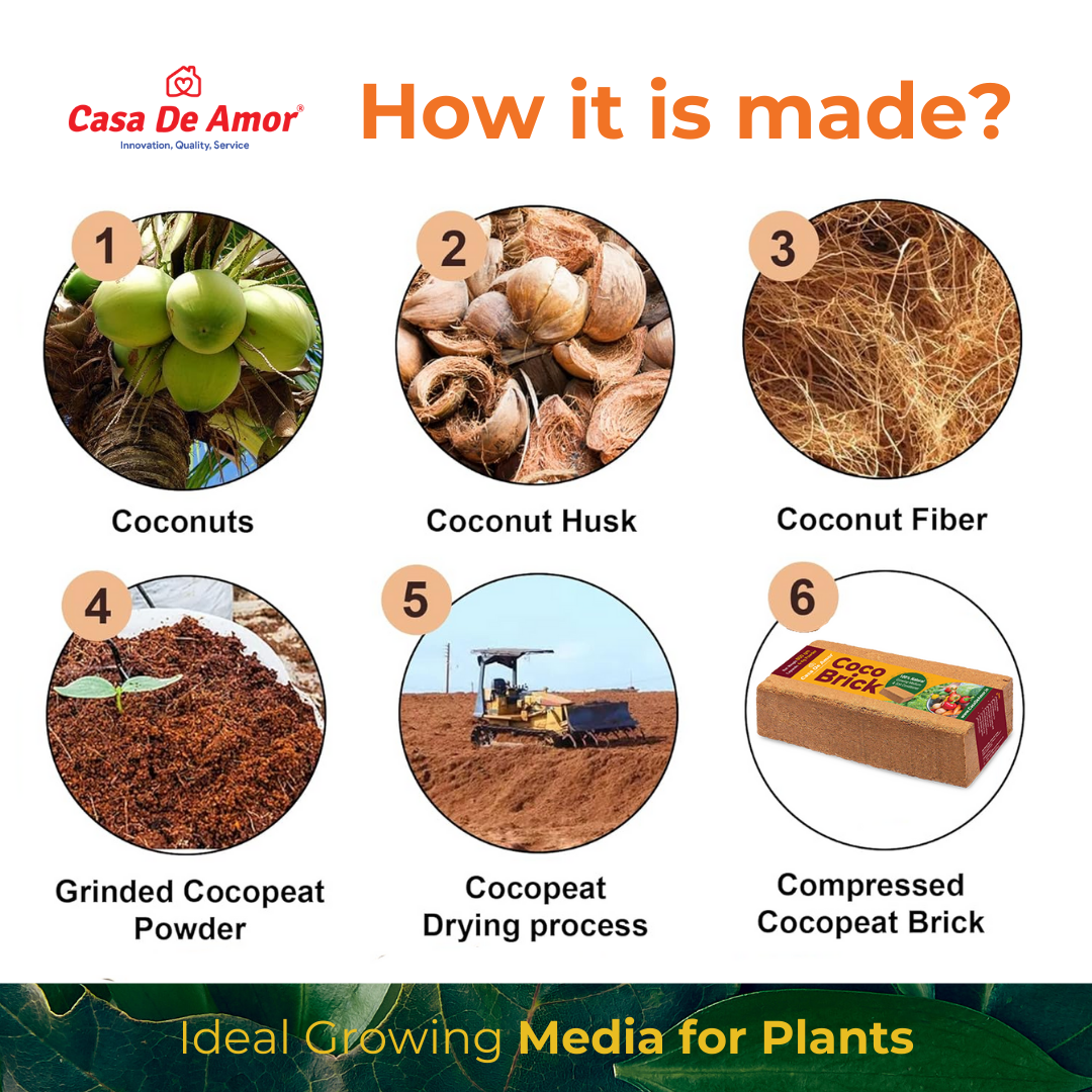 Casa De Amor Cocopeat Brick (650gm) High Water-Holding Capacity, Expands to 4kg Powder