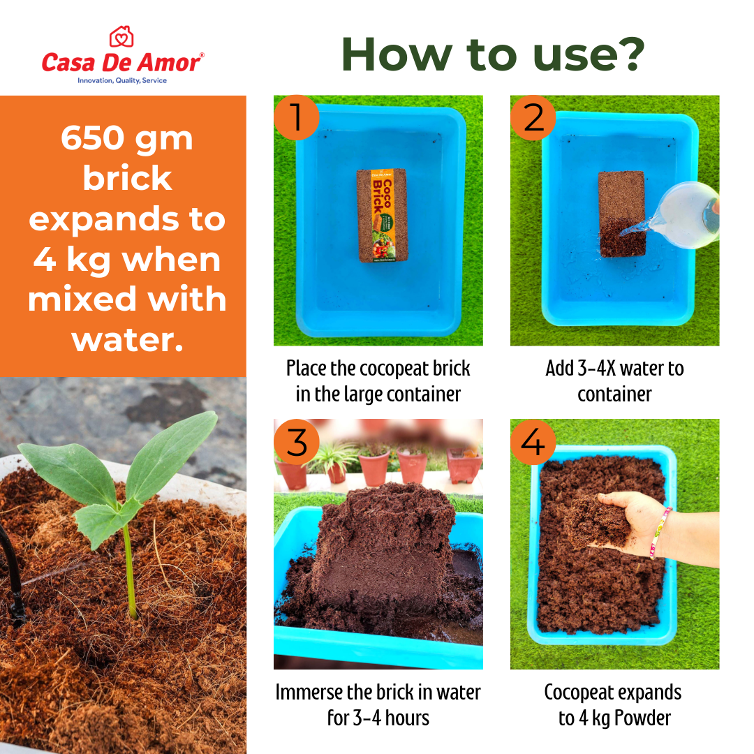 Casa De Amor Cocopeat Brick (650gm) High Water-Holding Capacity, Expands to 4kg Powder