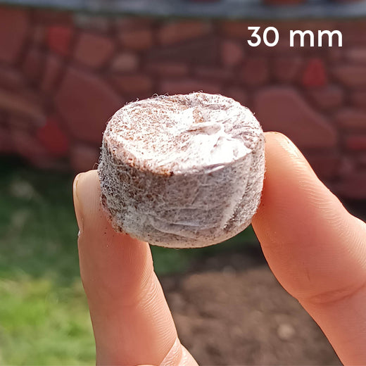 Casa De Amor Coco Disc | Coco Pellets | Coco Coin Coir | Seed Germination Kit | Peat Pellets for Gardening Seedling